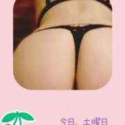 ヒメ日記 2026/04/11 06:34 投稿 ゆりか☆研修 遊び妻 越谷店