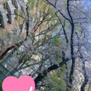 ヒメ日記 2026/04/02 23:33 投稿 みらい 奥様特急　立川店