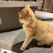ヒメ日記 2026/10/08 20:24 投稿 しおり 渋谷FLAMINGO