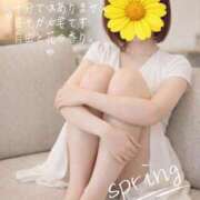 ヒメ日記 2026/04/07 09:14 投稿 はるな 完熟ばなな千葉店