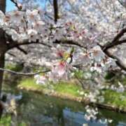 ヒメ日記 2026/04/05 18:16 投稿 はる(新人割7/1まで) ニュー不夜城