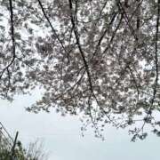 ヒメ日記 2026/04/07 09:40 投稿 和【ナギ】 輝女