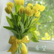 ヒメ日記 2026/04/01 07:45 投稿 れい アクトレス池袋店(ユメオト)