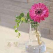 ヒメ日記 2026/04/02 07:45 投稿 れい アクトレス池袋店(ユメオト)