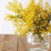 ヒメ日記 2026/04/10 08:22 投稿 れい アクトレス池袋店(ユメオト)