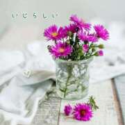 ヒメ日記 2026/04/14 08:59 投稿 れい アクトレス池袋店(ユメオト)