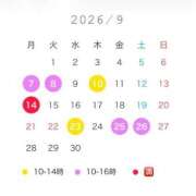 ヒメ日記 2026/09/09 19:16 投稿 相武里香 白夜