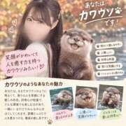 相武里香 🩷 カワウソです 白夜