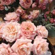 ヒメ日記 2026/04/11 16:18 投稿 りこ モアグループ春日部人妻城