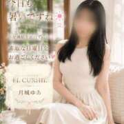 ヒメ日記 2026/08/02 12:55 投稿 月城　ゆあ 川崎南町人妻高級ソープ エル・カーヒル(ELCURHIL)秘密の刻