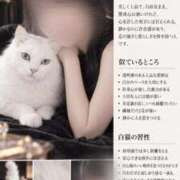 ヒメ日記 2026/09/15 08:41 投稿 月城　ゆあ 川崎南町人妻高級ソープ エル・カーヒル(ELCURHIL)秘密の刻