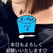 ヒメ日記 2026/04/16 07:05 投稿 しいな 渋谷蘭の会