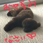 ヒメ日記 2026/04/21 23:55 投稿 しいな 渋谷蘭の会