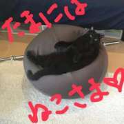 ヒメ日記 2026/06/11 10:25 投稿 しいな 渋谷蘭の会
