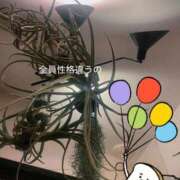 ヒメ日記 2026/09/13 22:55 投稿 しいな 渋谷蘭の会