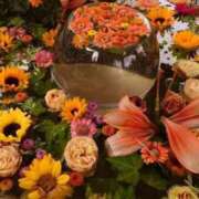 ヒメ日記 2026/04/10 07:28 投稿 かよこ 熟女の風俗最終章 八王子店