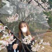 ヒメ日記 2026/04/05 20:00 投稿 きこ MONTE(モンテ)