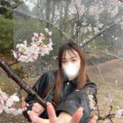 ヒメ日記 2026/04/11 19:01 投稿 きこ MONTE(モンテ)