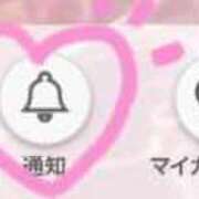 きこ ✨️通知ON MONTE(モンテ)
