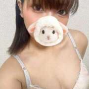 ヒメ日記 2026/04/12 01:53 投稿 りと FROZEN(フローズン)