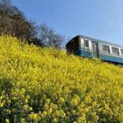 ヒメ日記 2026/05/03 10:04 投稿 れん 完熟ばなな梅田
