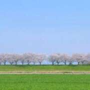 ヒメ日記 2026/05/04 09:48 投稿 れん 完熟ばなな梅田