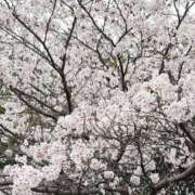 Mitsuha(みつは) ありがとうございました☺️💗 AMATERAS(アマテラス)(福山)