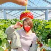 ヒメ日記 2026/04/13 09:16 投稿 早島さりな コウテイ
