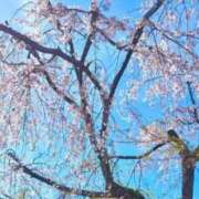 ヒメ日記 2026/05/11 09:05 投稿 早島さりな コウテイ