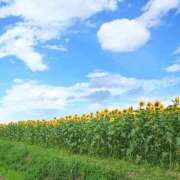 ヒメ日記 2026/05/19 18:46 投稿 早島さりな コウテイ