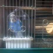 ヒメ日記 2026/08/16 17:56 投稿 くれは 西川口おかあさん