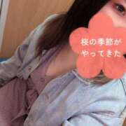 ヒメ日記 2026/04/08 18:47 投稿 雲雀-ひばり【FG系列】 ほんつま 町田/相模原店