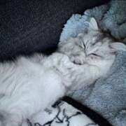 ヒメ日記 2026/03/31 21:25 投稿 あや EROIST-エロイスト-