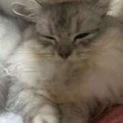 ヒメ日記 2026/04/02 20:05 投稿 あや EROIST-エロイスト-