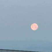 ヒメ日記 2026/04/03 19:05 投稿 あや EROIST-エロイスト-