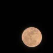 ヒメ日記 2026/04/03 19:06 投稿 いちは IRIS(岐阜)