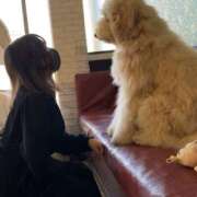 ヒメ日記 2026/04/03 19:32 投稿 わらび 千葉松戸ちゃんこ