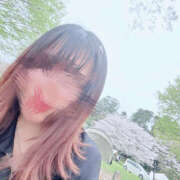 ヒメ日記 2026/04/09 18:19 投稿 わらび 千葉松戸ちゃんこ