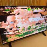 ヒメ日記 2026/04/14 12:52 投稿 わらび 千葉松戸ちゃんこ