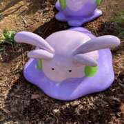 ヒメ日記 2026/04/28 13:44 投稿 わらび 千葉松戸ちゃんこ