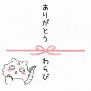 ヒメ日記 2026/09/03 15:30 投稿 わらび 千葉松戸ちゃんこ