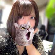 ヒメ日記 2026/09/22 18:11 投稿 わらび 千葉松戸ちゃんこ