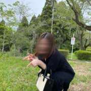 ヒメ日記 2026/04/16 12:23 投稿 瞳 マドンナSANSAIN