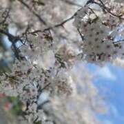 ヒメ日記 2026/04/05 17:08 投稿 あいら 京都BOOK MARK（ブックマーク）