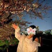 ヒメ日記 2026/04/06 17:22 投稿 蒼井　せり ベルサイユの薔薇