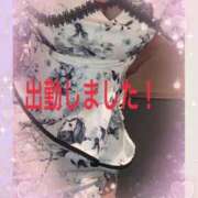 ヒメ日記 2026/04/04 15:06 投稿 ほのか 水戸人妻花壇