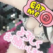 片桐(かたぎり) おはようございます♡ 八王子人妻城