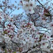 ヒメ日記 2026/04/14 12:28 投稿 清楚ぶって看護師してますw GOOD-グッド-