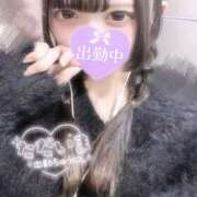 ヒメ日記 2026/04/08 01:15 投稿 うさちゃん プロフィール奈良店