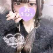 ヒメ日記 2026/09/13 22:41 投稿 うさちゃん プロフィール奈良店